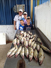 Group with a limit catch of Lake Erie Walleye aboard In The Net with Captain Matt Hehn